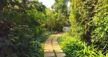 Essential Maintenance Tips for Your 50 ft Garden Hose